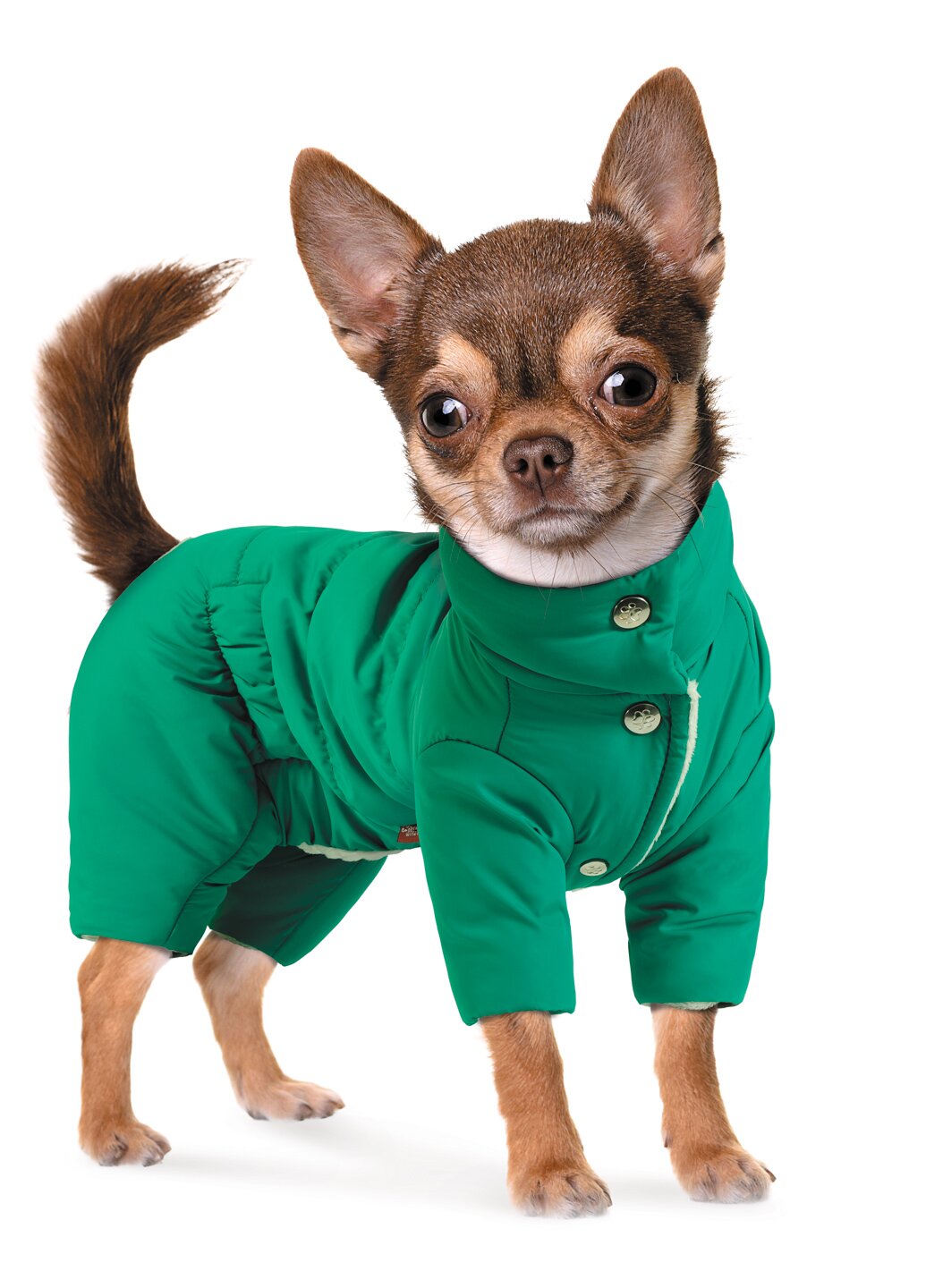Комбинезон для собак Pet Fashion «Цитрус» XS Комбинезон для собак Pet Fashion «Цитрус» XS