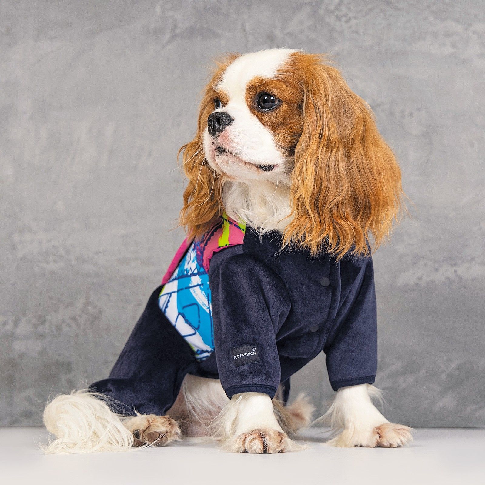 Комбінезон для собак Pet Fashion «Enigma» XS