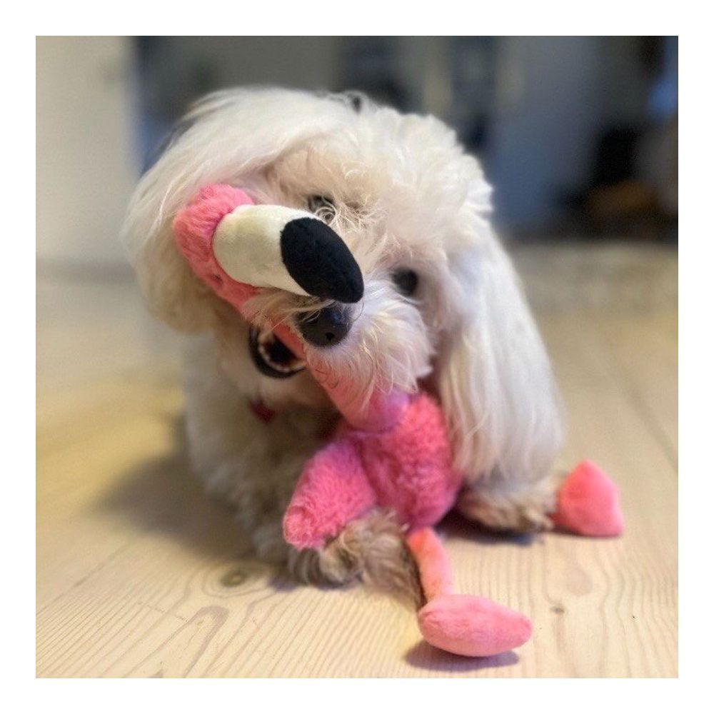 Kong Shakers Honkers Flamingo іграшка для собак S 32 см - рожевий Kong Shakers Honkers Flamingo іграшка для собак S 32 см - рожевий