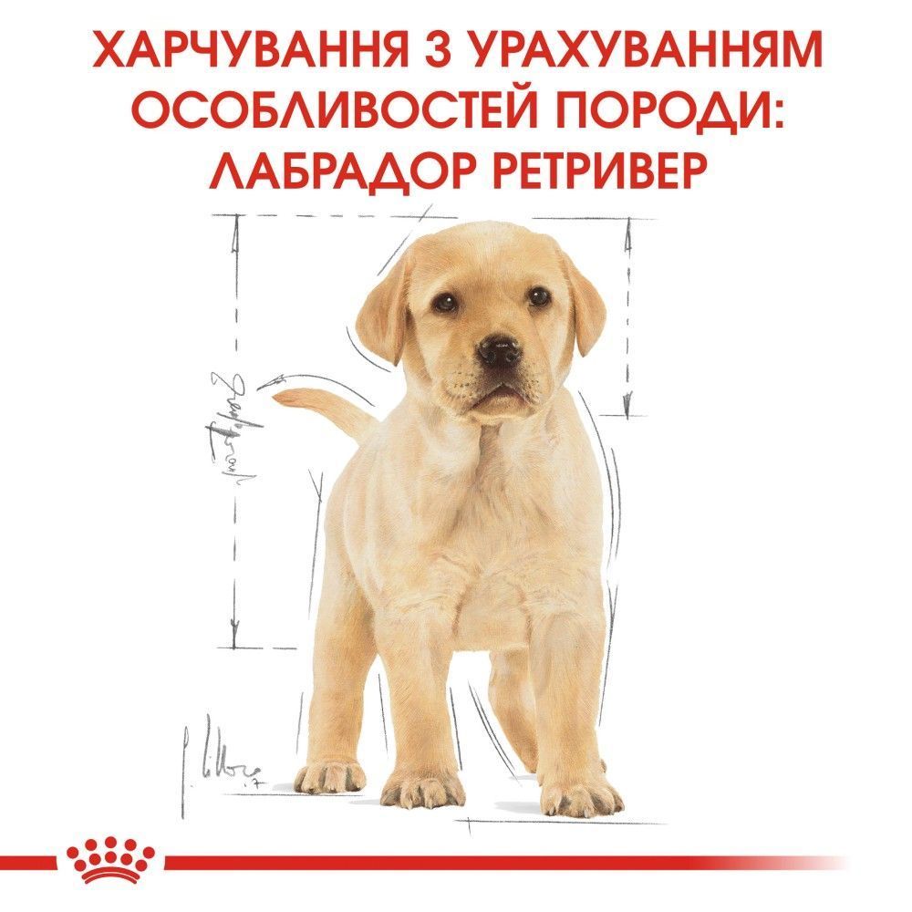 Сухой корм для щенков Royal Canin Labrador Retriever Puppy 3 кг