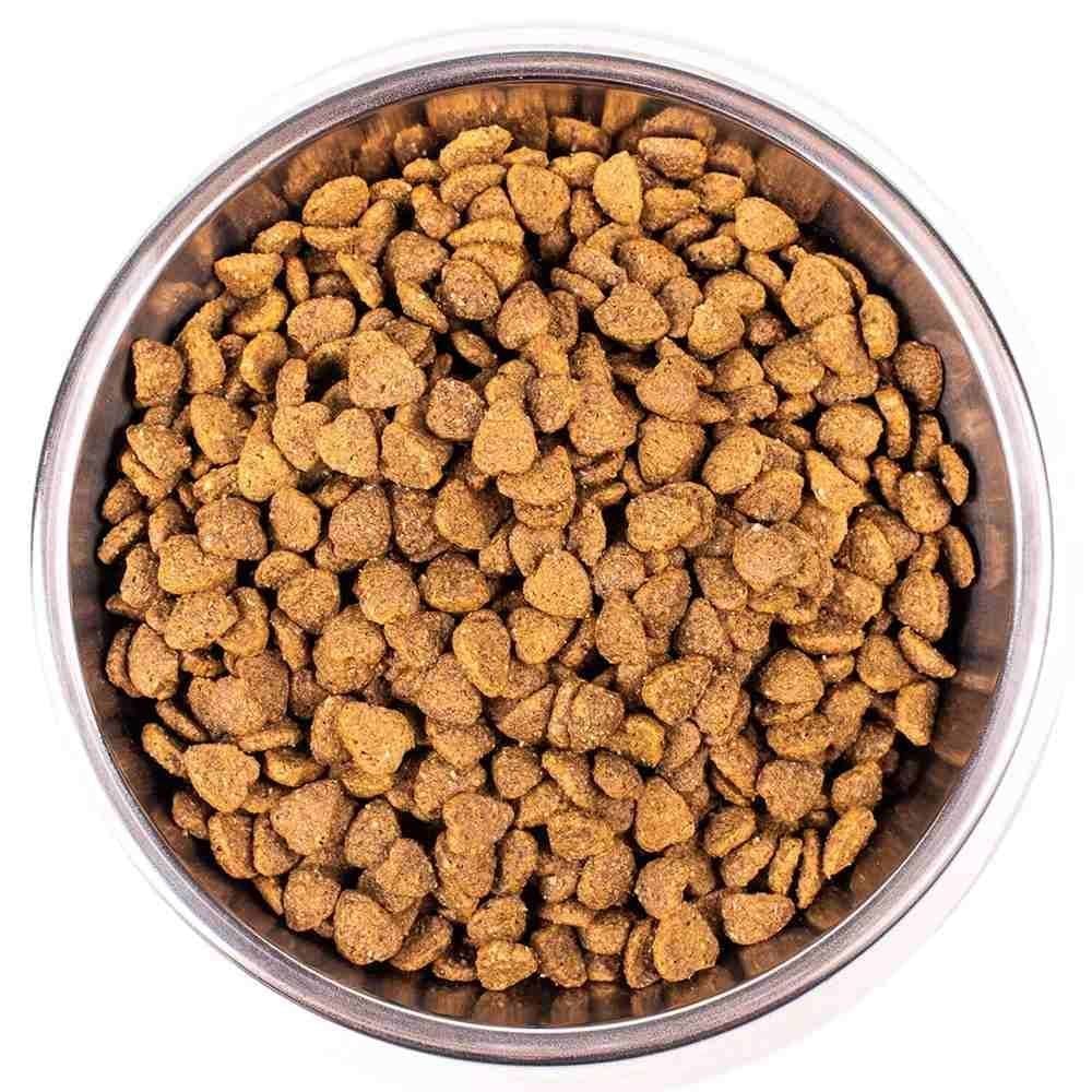 Сухий корм для котів Monge Indoor 400 г - курка Сухий корм для котів Monge Indoor 400 г - курка