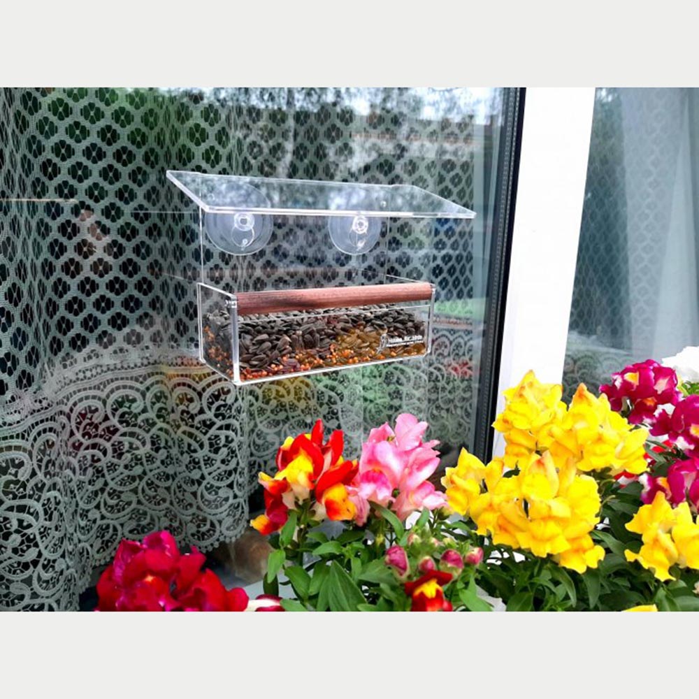 Годівниця для птахів House for Birds віконна «Комплекс» 18 х 7 х 11 см Годівниця для птахів House for Birds віконна «Комплекс» 18 х 7 х 11 см