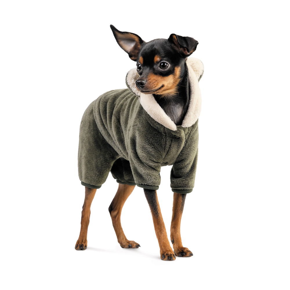Костюм для собак Pet Fashion Alf M