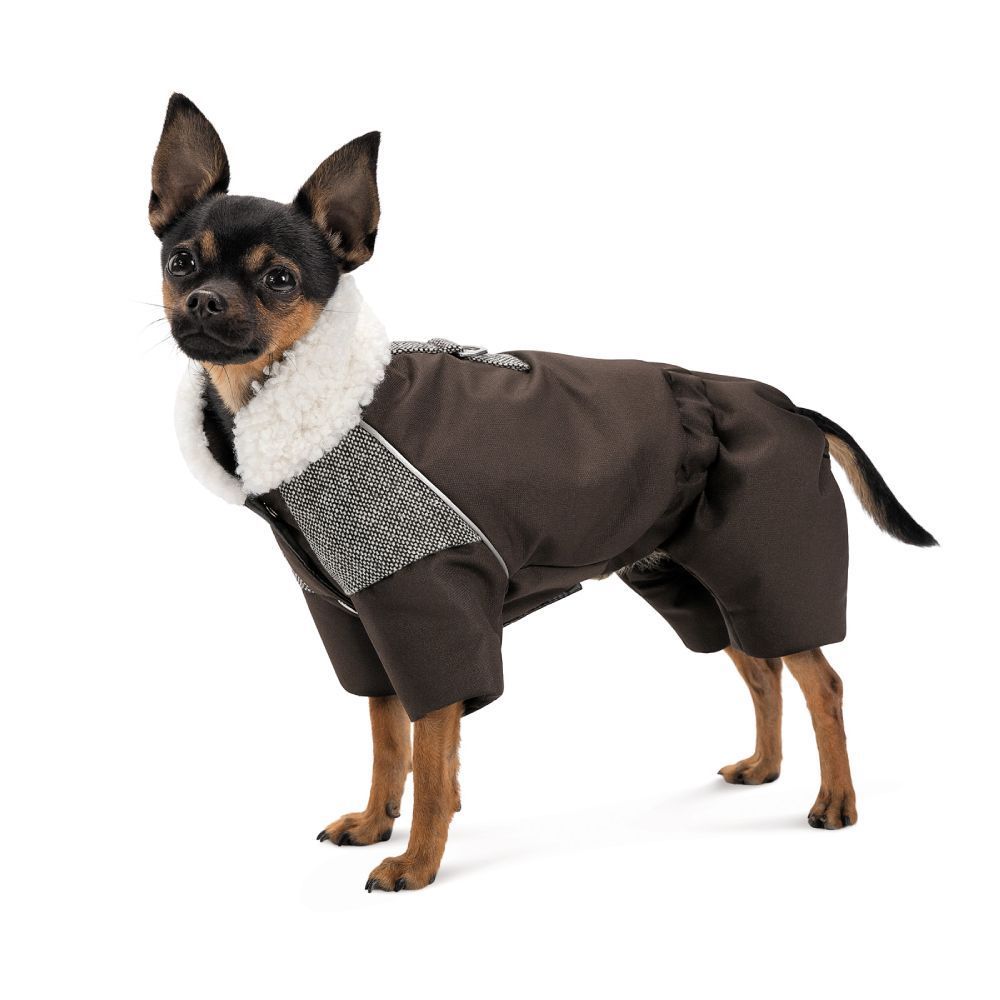 Костюм для собак Pet Fashion Locky S-2 Костюм для собак Pet Fashion Locky S-2