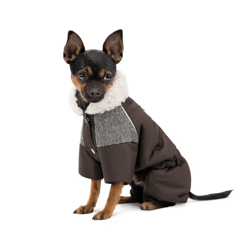 Костюм для собак Pet Fashion Locky S-2 Костюм для собак Pet Fashion Locky S-2