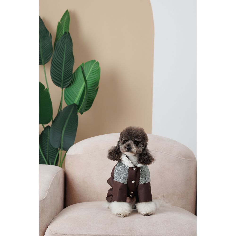 Костюм для собак Pet Fashion Locky S-2 Костюм для собак Pet Fashion Locky S-2