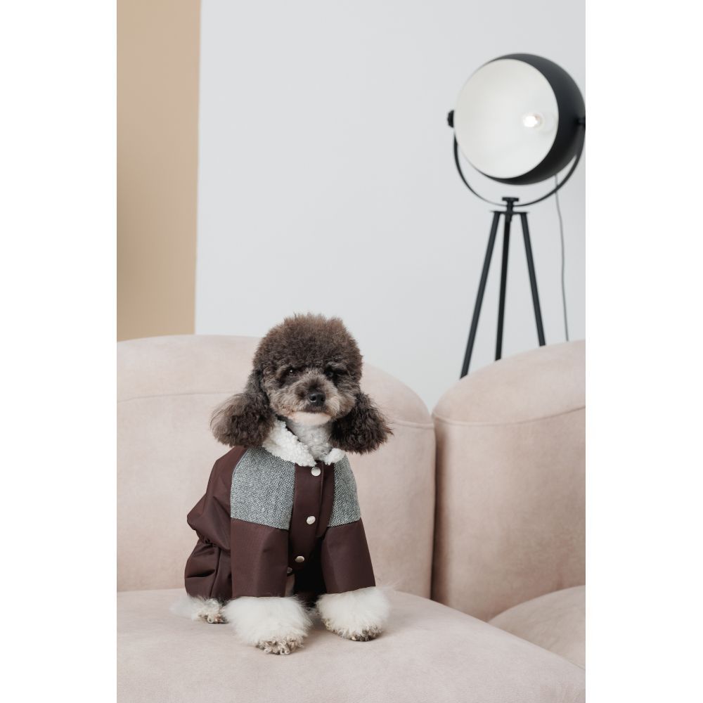 Костюм для собак Pet Fashion Locky S-2 Костюм для собак Pet Fashion Locky S-2