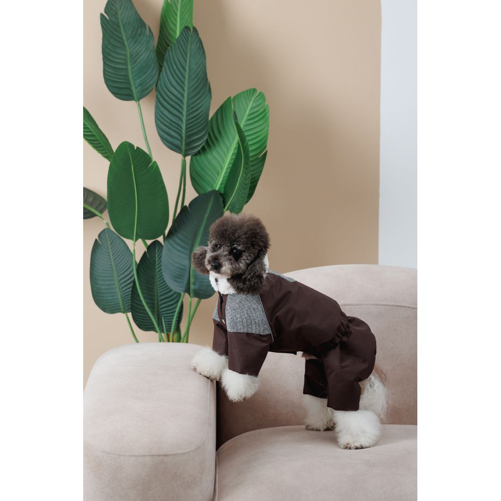 Костюм для собак Pet Fashion Locky S-2 Костюм для собак Pet Fashion Locky S-2