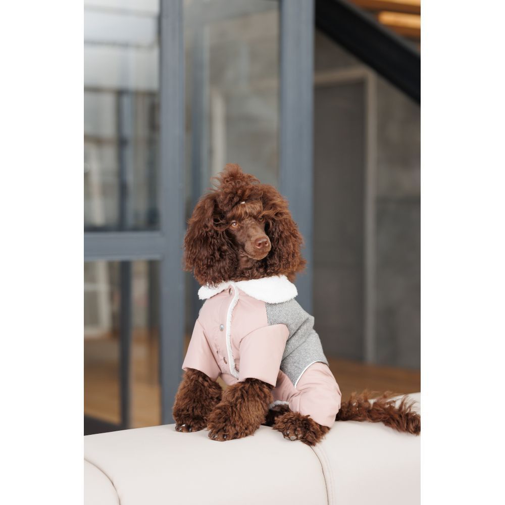 Костюм для собак Pet Fashion Twiddy XS Костюм для собак Pet Fashion Twiddy XS
