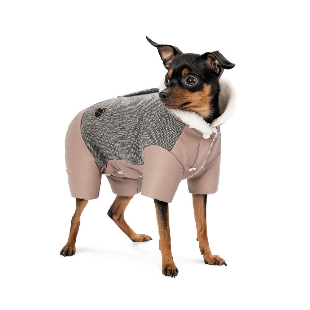 Костюм для собак Pet Fashion Twiddy XS Костюм для собак Pet Fashion Twiddy XS
