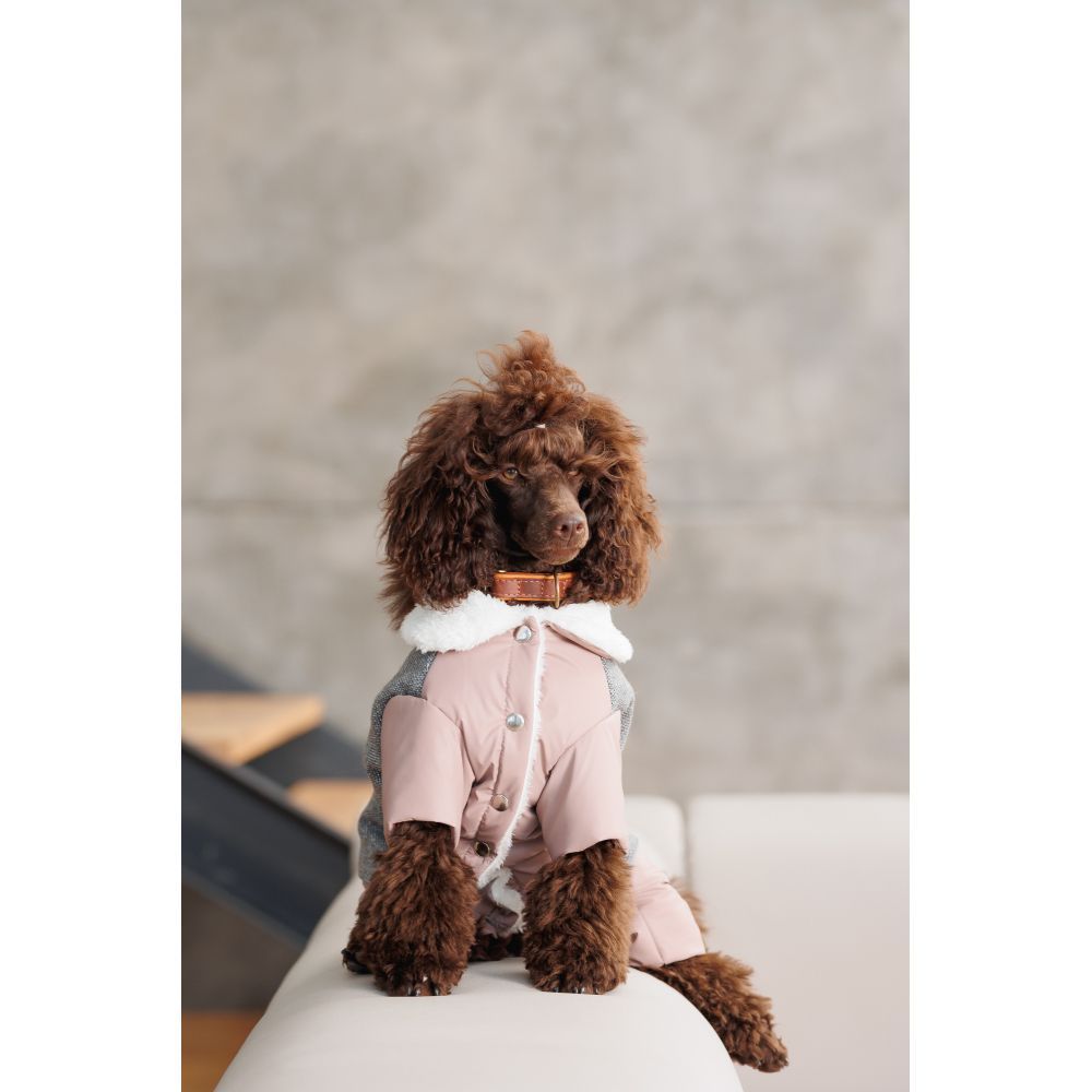 Костюм для собак Pet Fashion Twiddy XS Костюм для собак Pet Fashion Twiddy XS