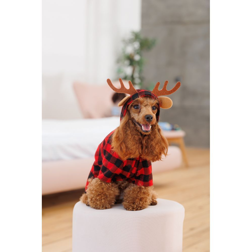 Костюм для собак Pet Fashion Xmas XS Костюм для собак Pet Fashion Xmas XS