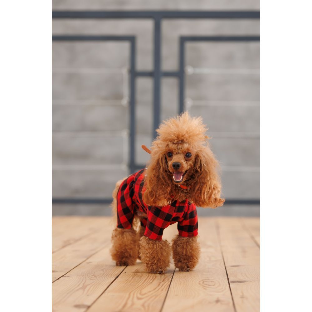Костюм для собак Pet Fashion Xmas XS Костюм для собак Pet Fashion Xmas XS