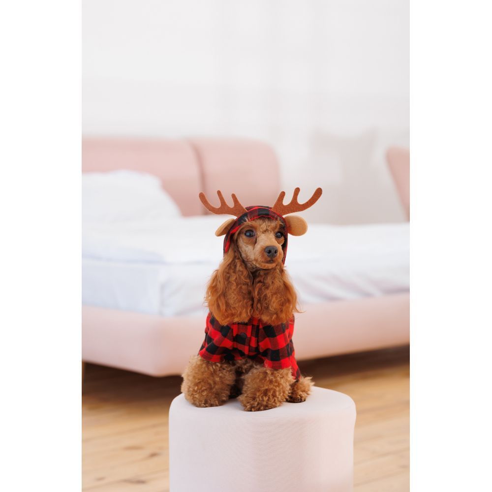 Костюм для собак Pet Fashion Xmas XS Костюм для собак Pet Fashion Xmas XS