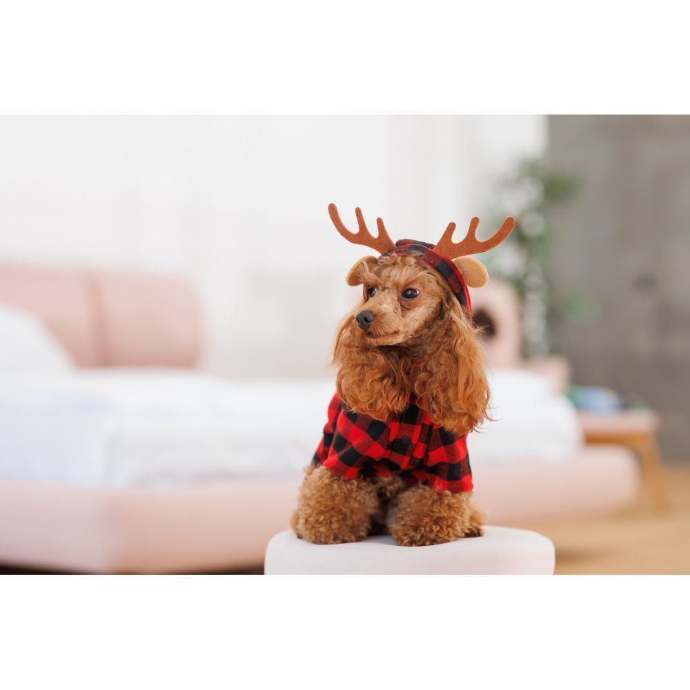 Костюм для собак Pet Fashion Xmas XS Костюм для собак Pet Fashion Xmas XS