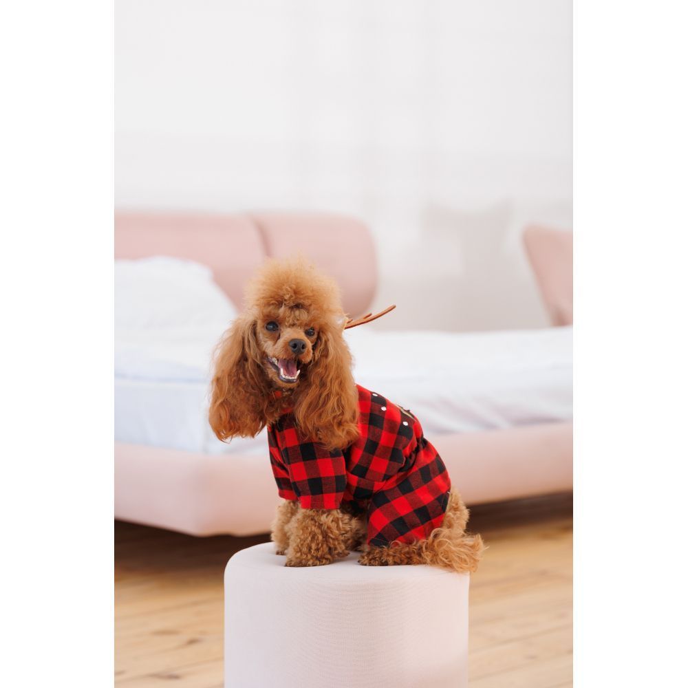 Костюм для собак Pet Fashion Xmas XS Костюм для собак Pet Fashion Xmas XS