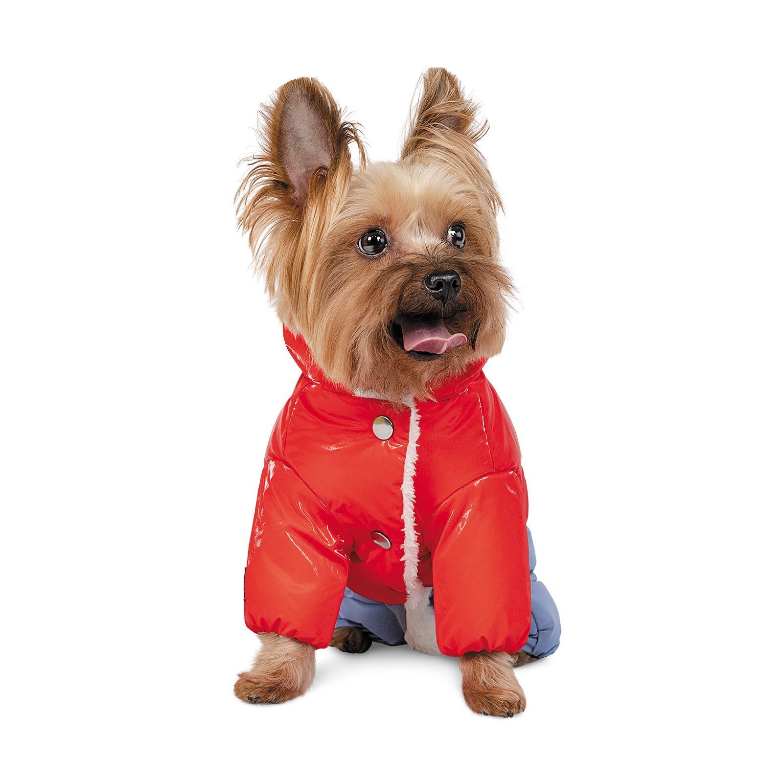 Костюм для собак Pet Fashion девочка «Pretty» S