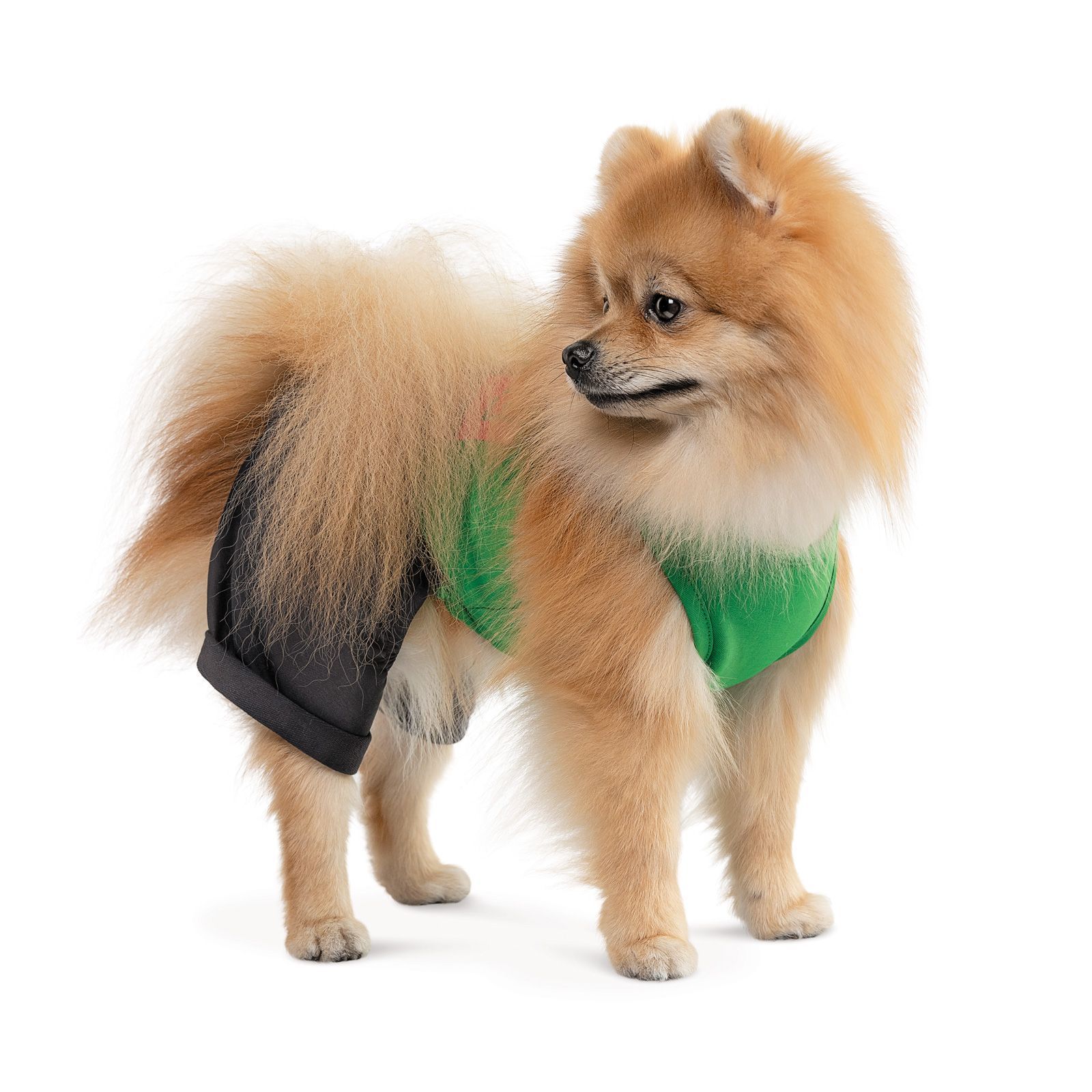 Pet Fashion Aleks костюм для собак XS Pet Fashion Aleks костюм для собак XS