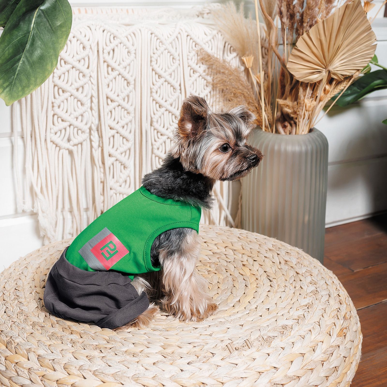 Pet Fashion Aleks костюм для собак XS Pet Fashion Aleks костюм для собак XS