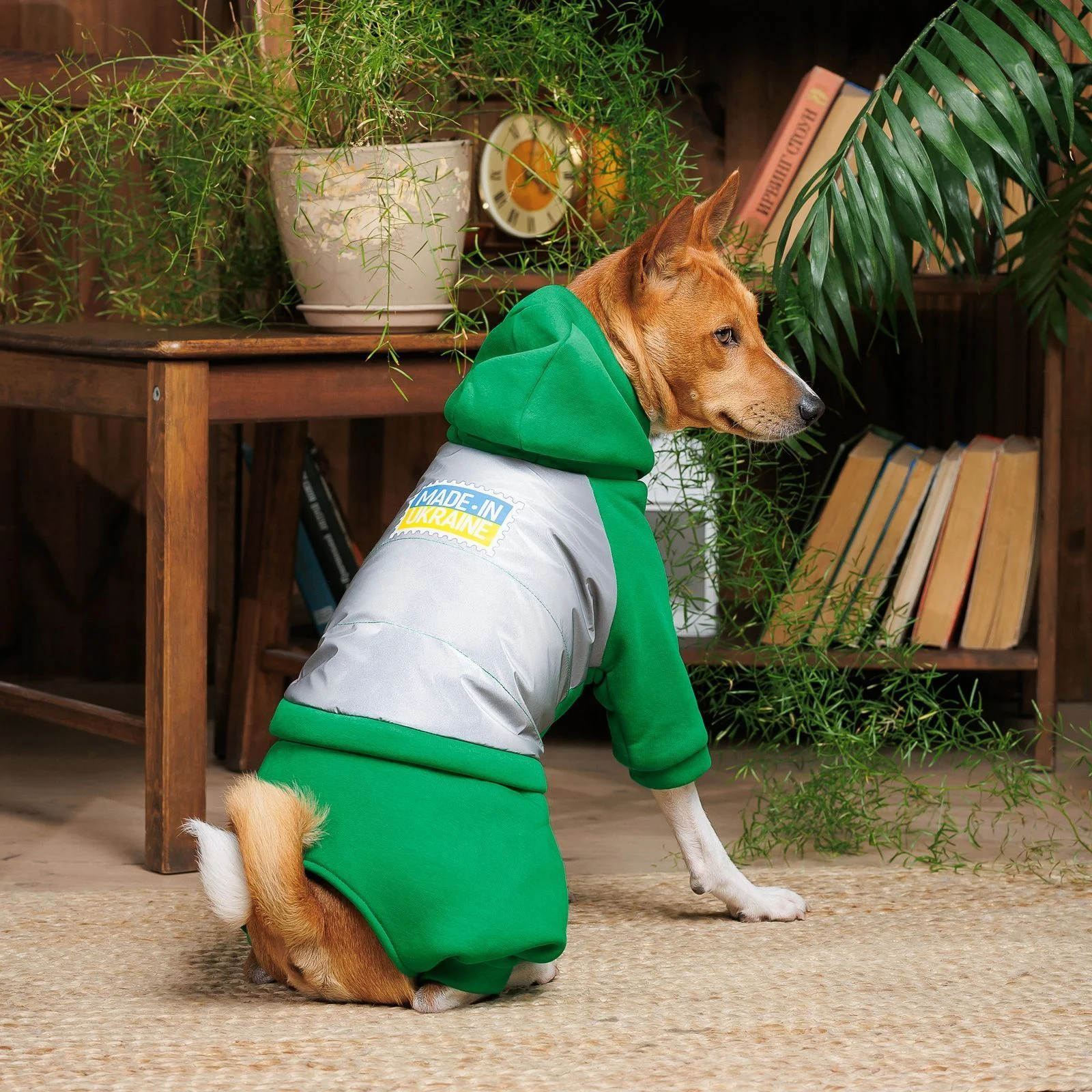 Костюм для собак Pet Fashion «Leaf» L