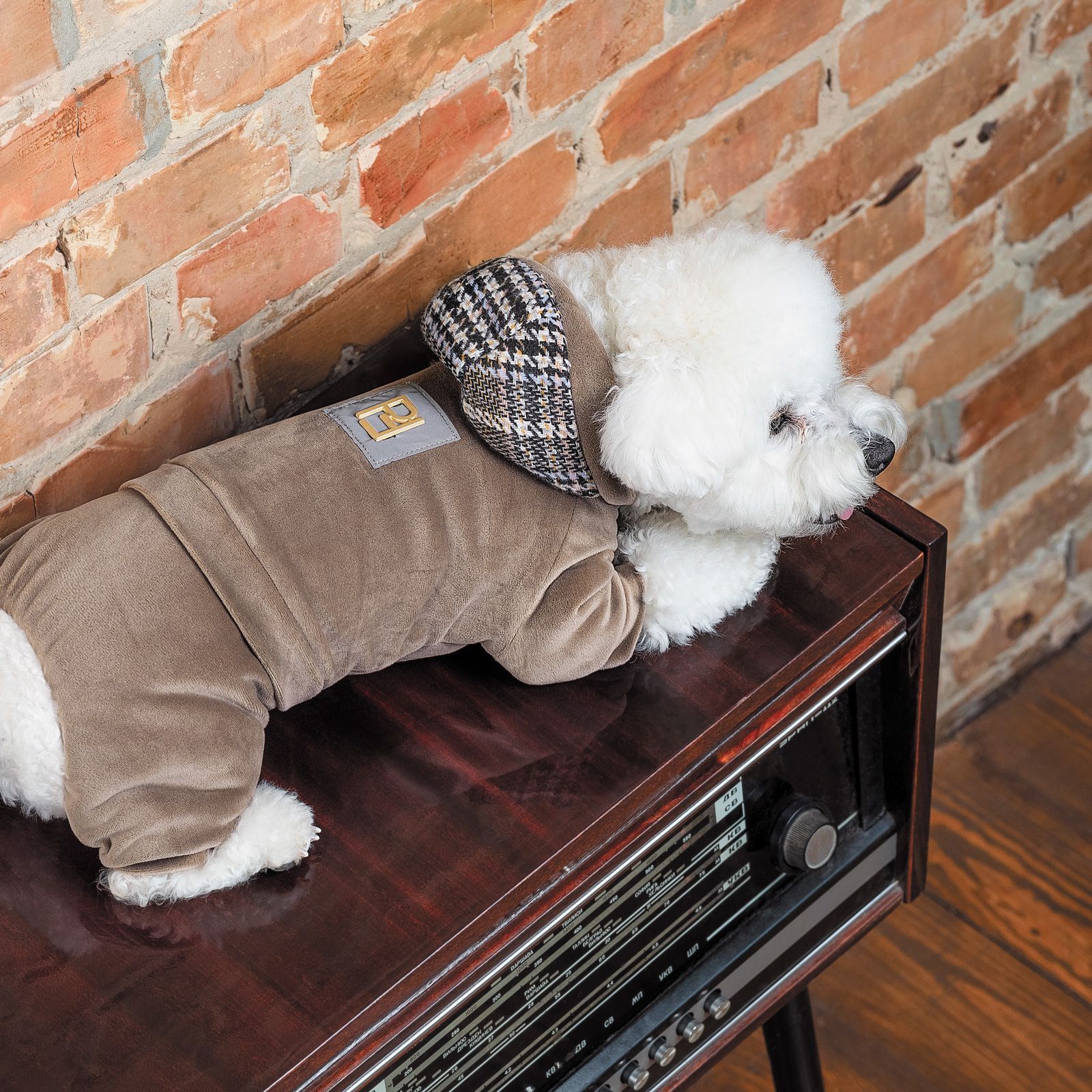 Костюм для собак Pet Fashion «Soft» M