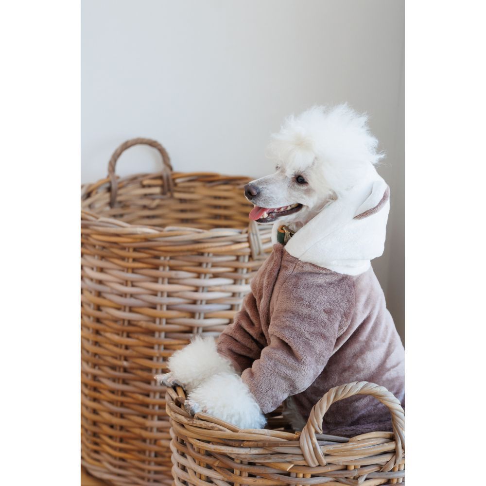 Костюм для собак Pet Fashion Alf XS