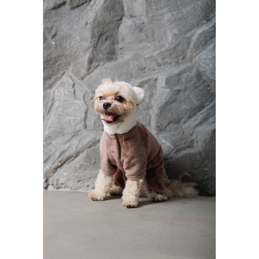 Костюм для собак Pet Fashion Alf XS
