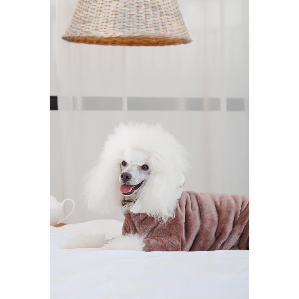 Костюм для собак Pet Fashion Alf XS