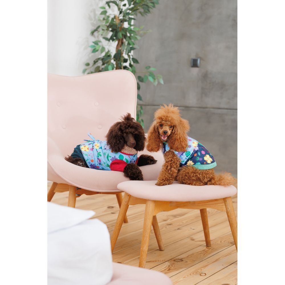 Костюм для собак Pet Fashion Alisa M