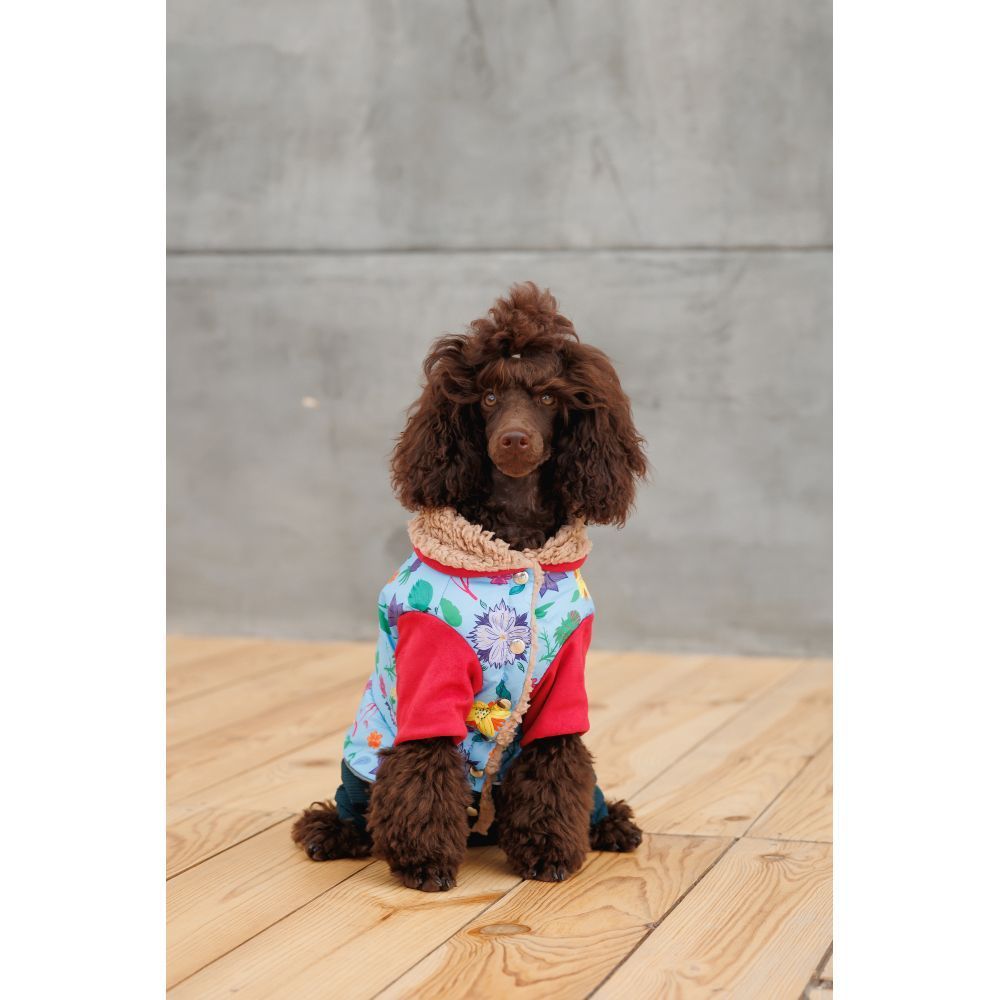 Костюм для собак Pet Fashion Alisa M
