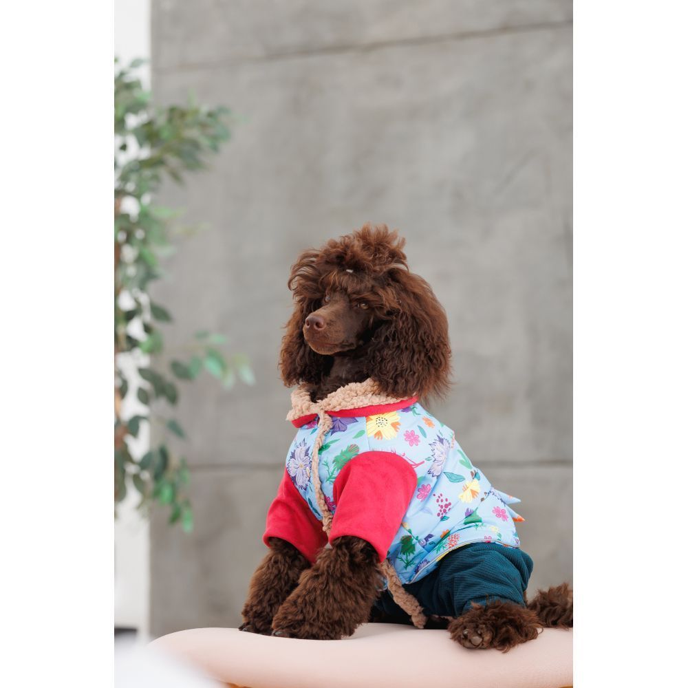 Костюм для собак Pet Fashion Alisa M