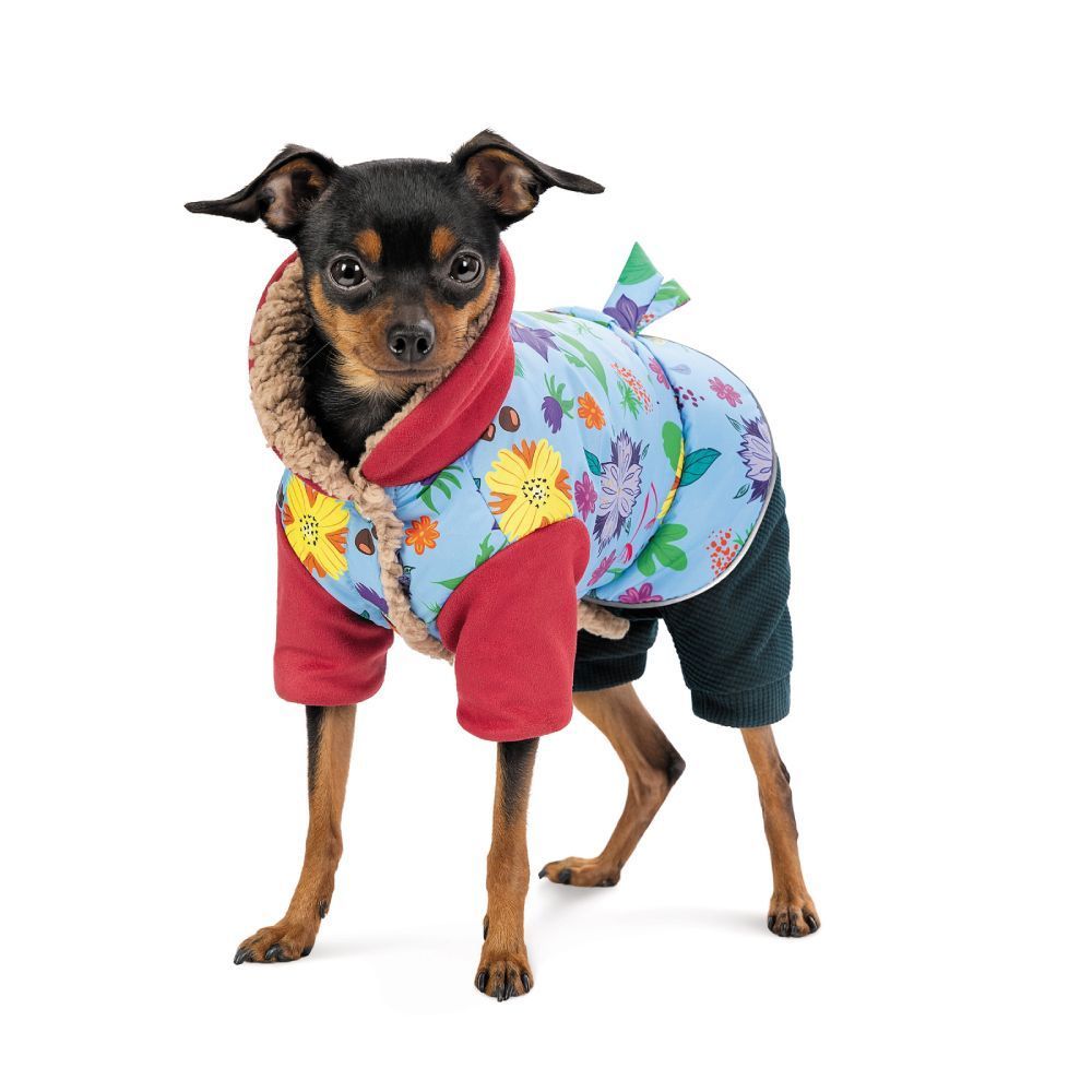 Костюм для собак Pet Fashion Alisa M