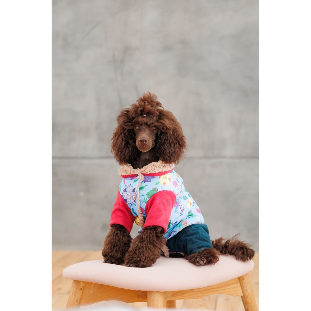 Костюм для собак Pet Fashion Alisa M