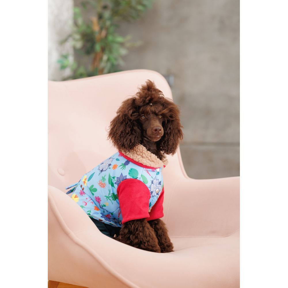 Костюм для собак Pet Fashion Alisa M