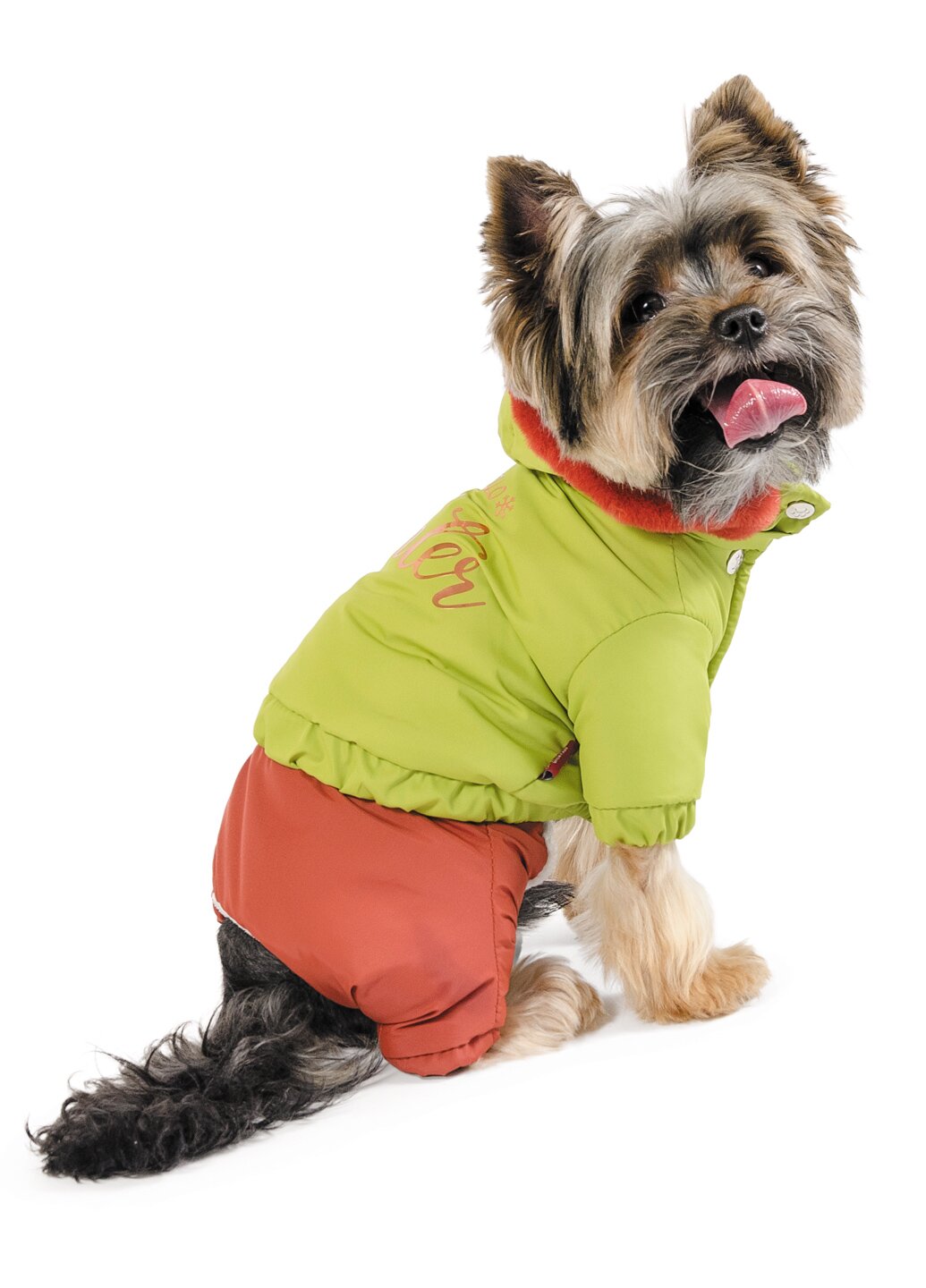 Костюм для собак Pet Fashion «Барни» XXS (зелёный) Костюм для собак Pet Fashion «Барни» XXS (зелёный)