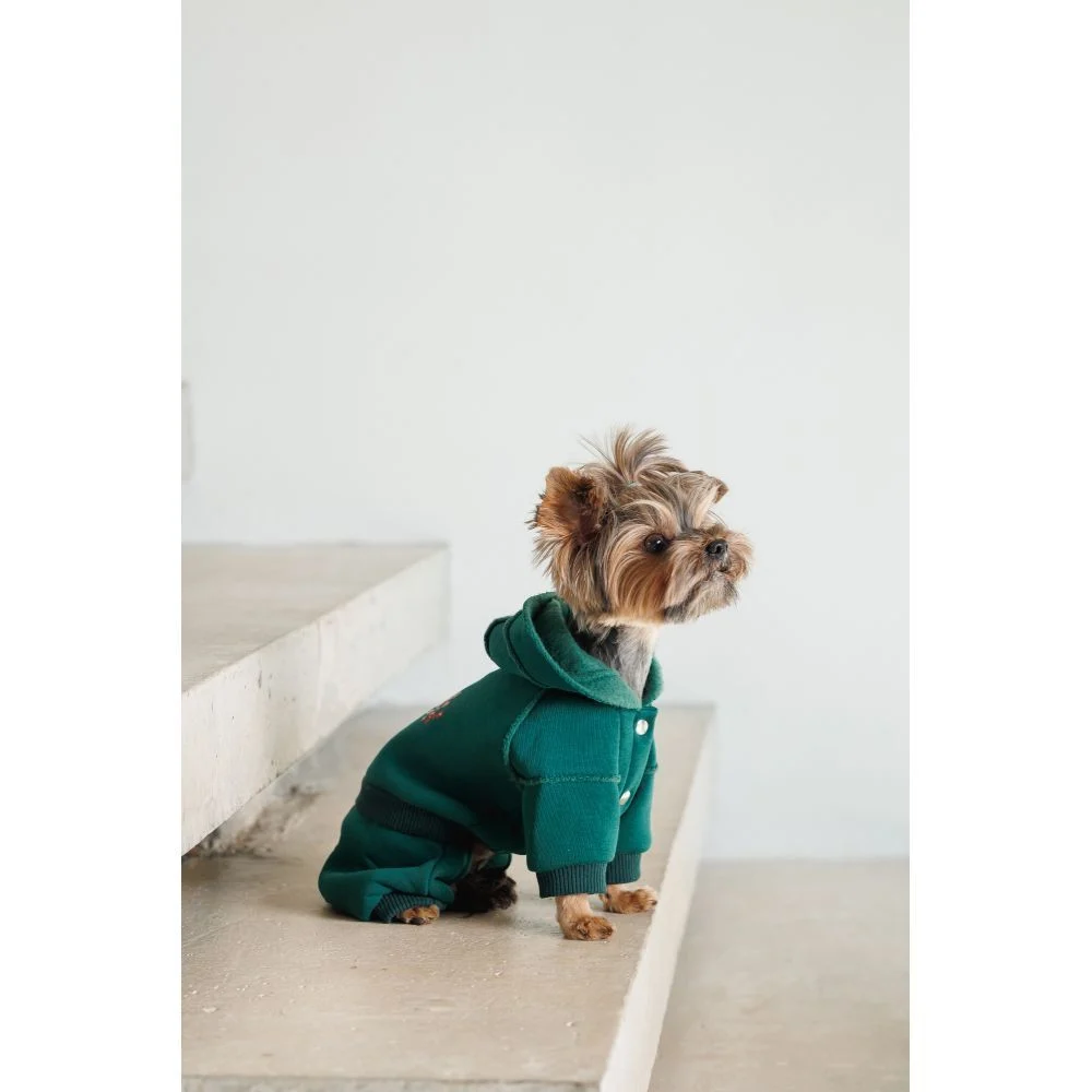 Pet Fashion Berry костюм для собак XS