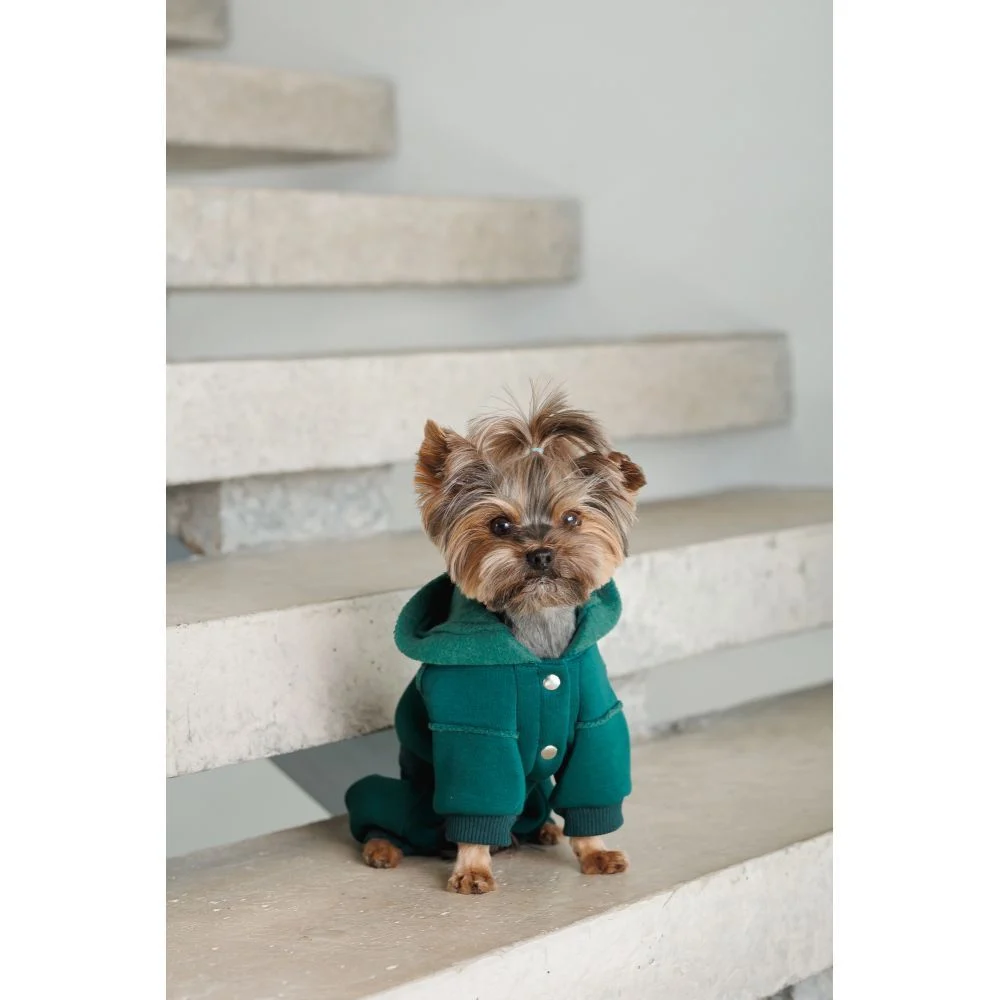 Pet Fashion Berry костюм для собак XS