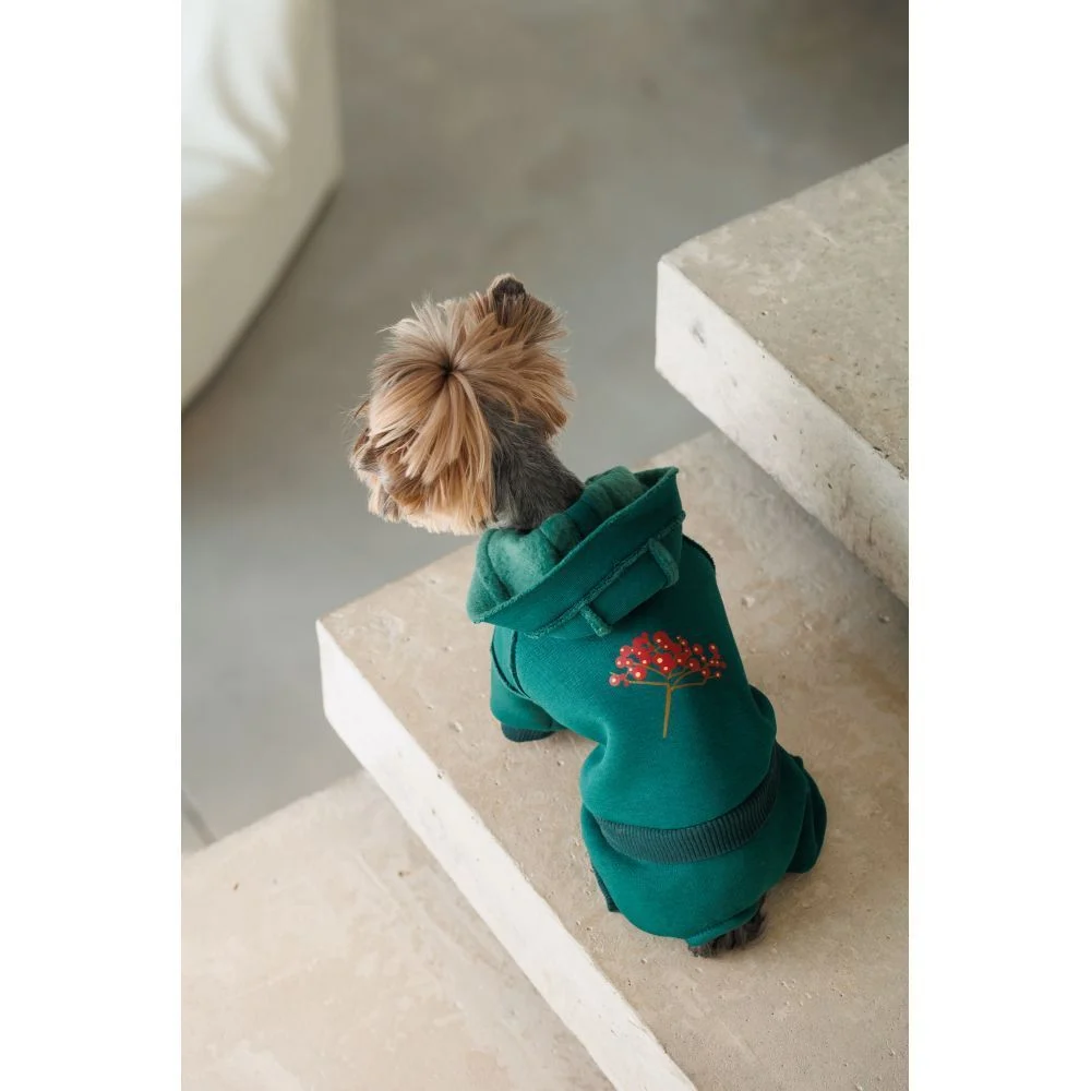 Pet Fashion Berry костюм для собак XS