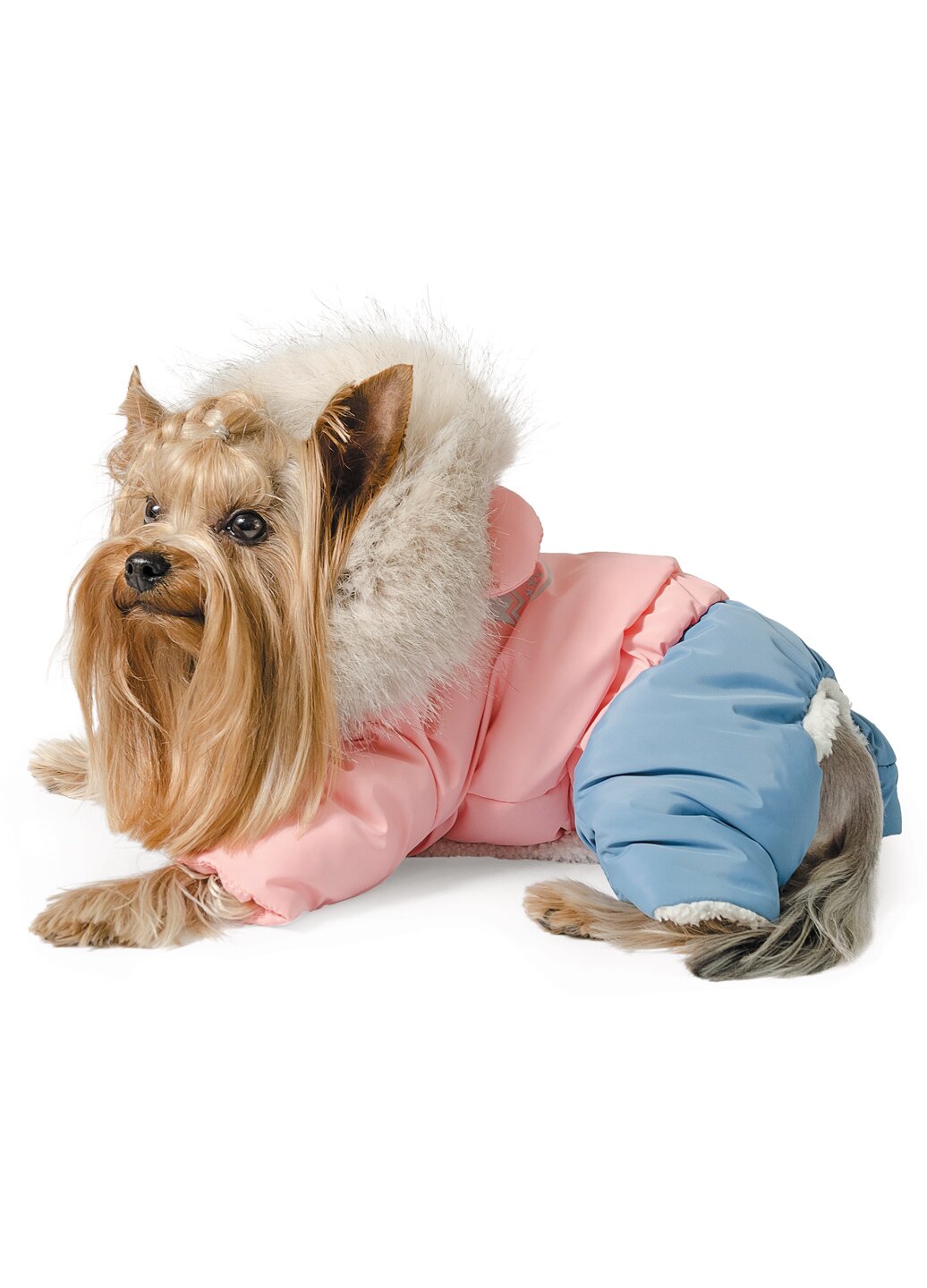 Костюм для собак Pet Fashion «Джуди» L