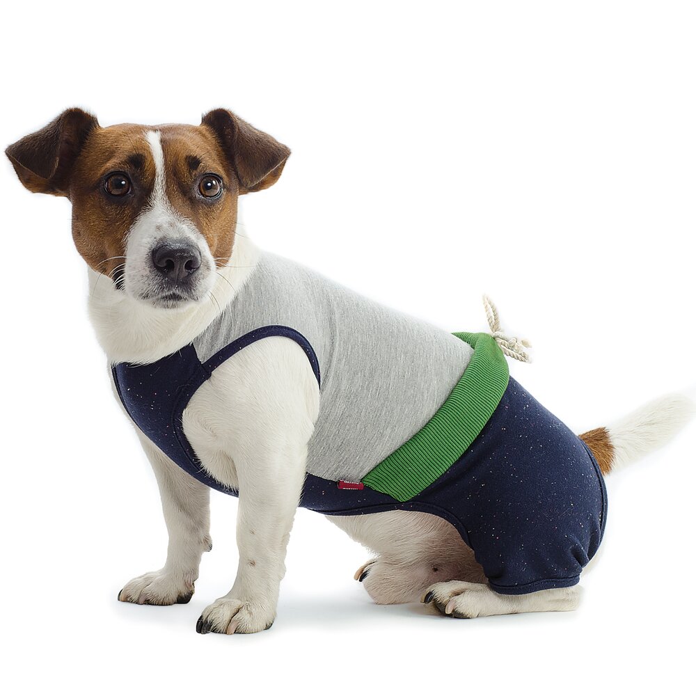 Костюм для собак Pet Fashion «Фітнес» XS (авокадо)