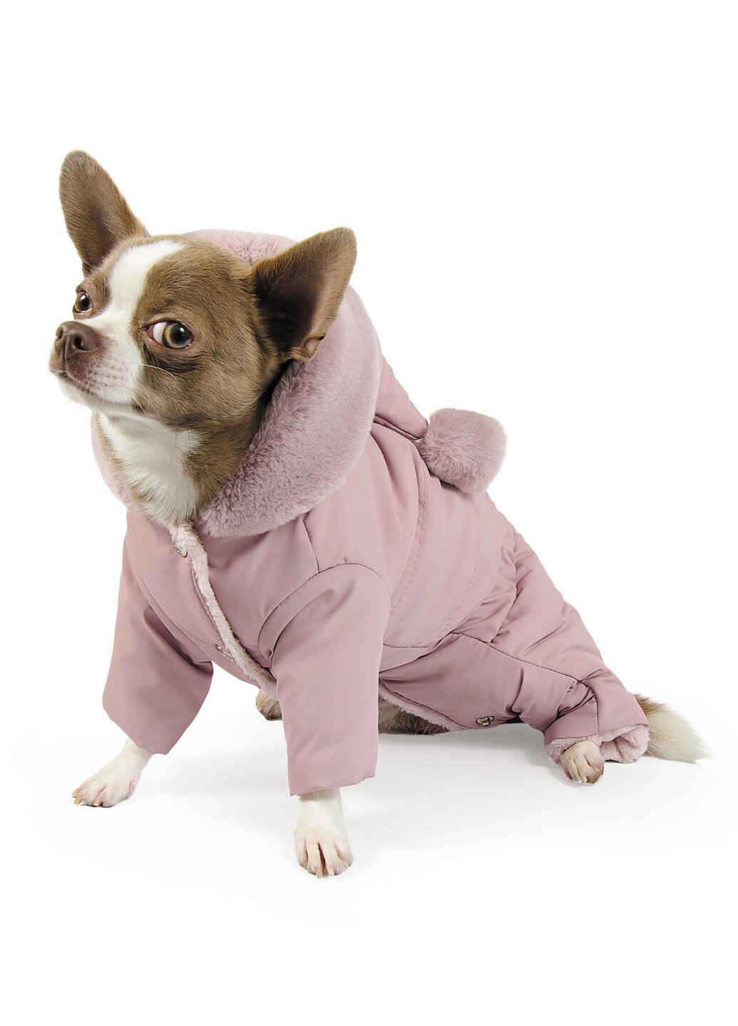 Костюм для собак Pet Fashion «Лола» XS