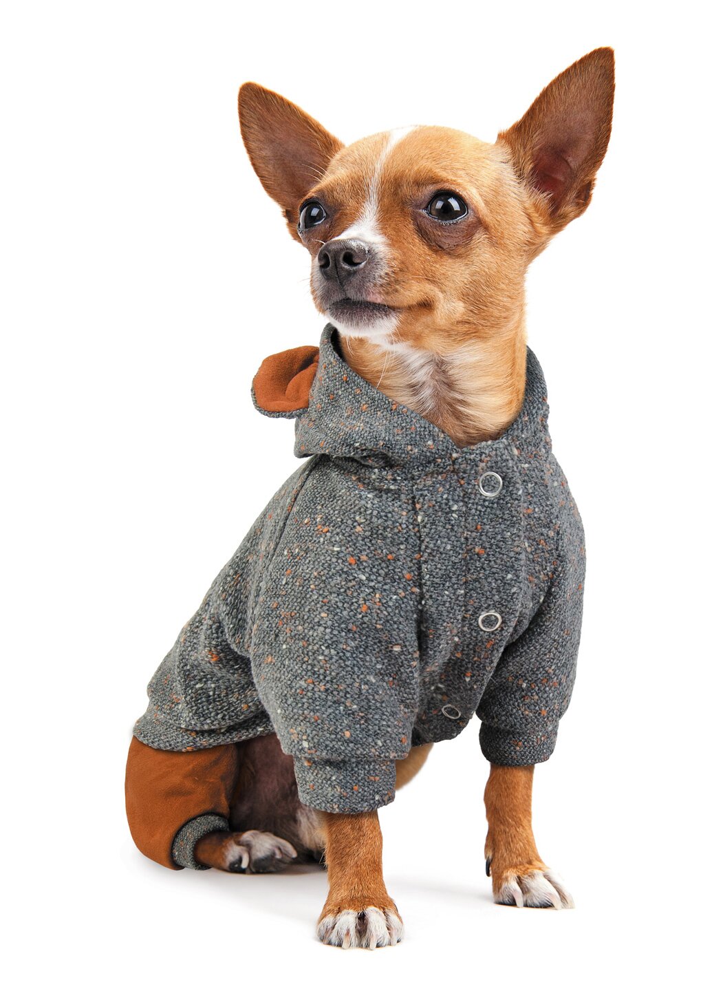 Костюм для собак Pet Fashion «Микки» XXS