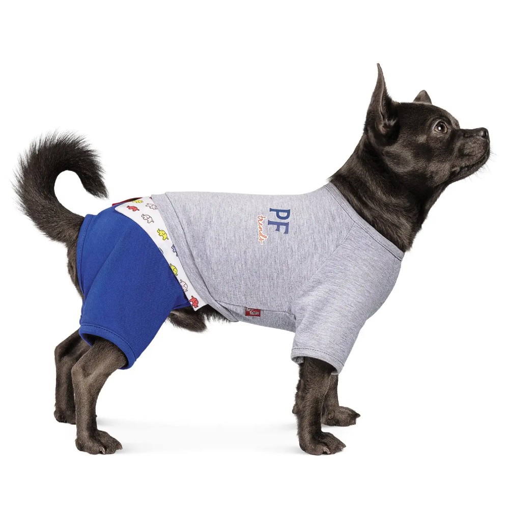 Костюм для собак Pet Fashion «Орион» XS