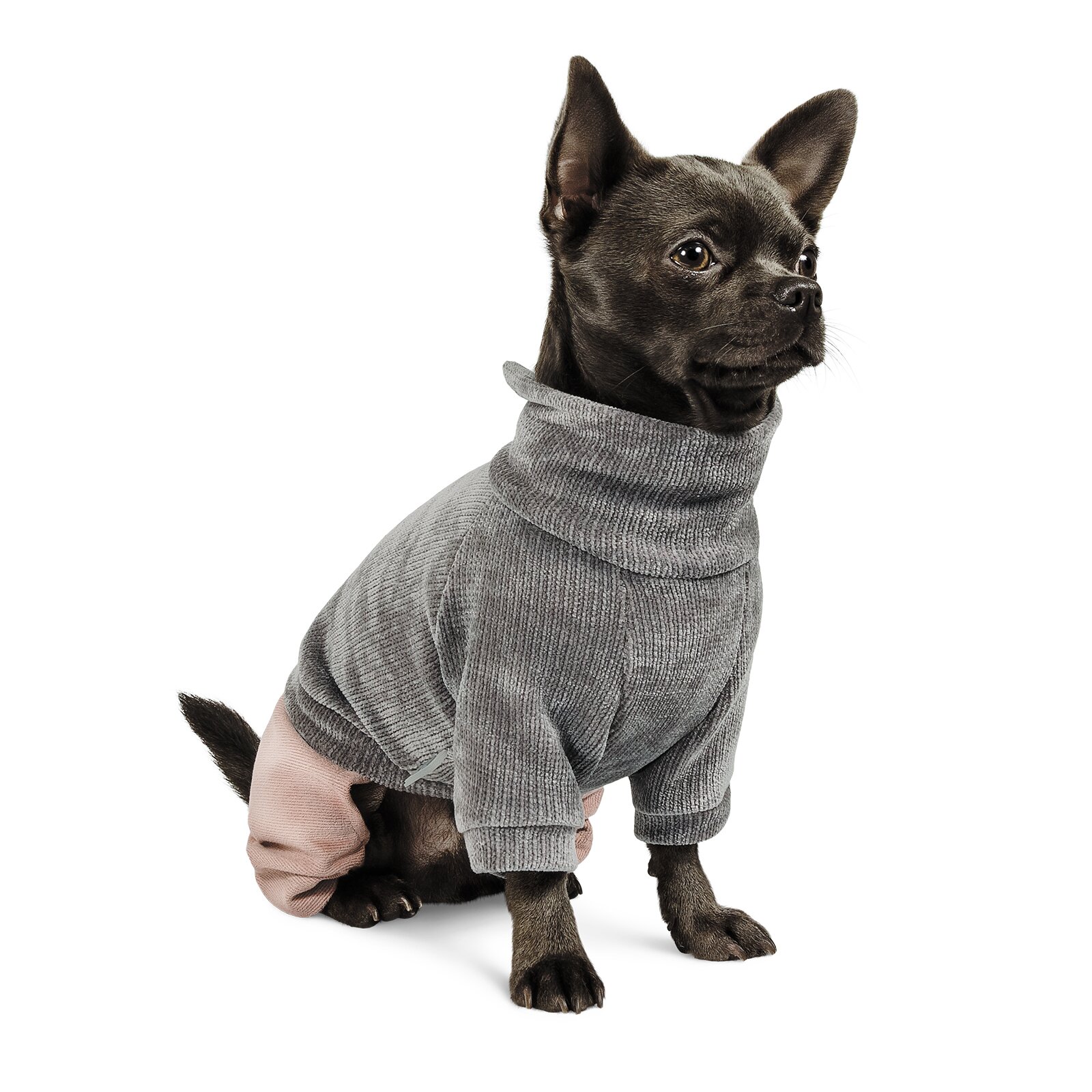 Костюм для собак Pet Fashion «Пунш» XXS