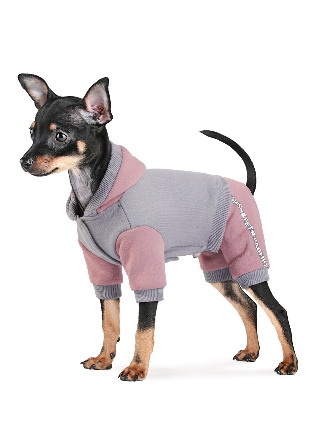 Костюм для собак Pet Fashion «Рикки» XXS (серый)