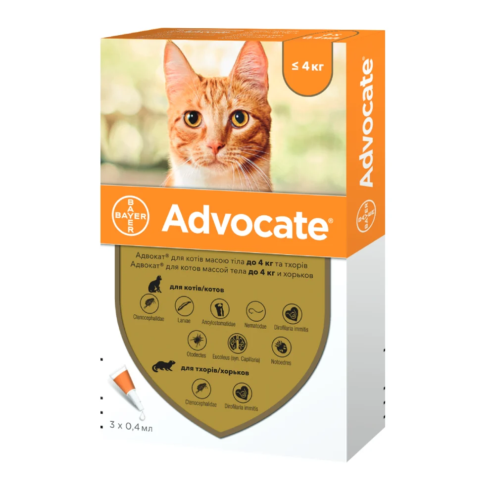 Краплі на холку для котів Elanco Bayer Advocate до 4 кг, 1 шт Краплі на холку для котів Elanco Bayer Advocate до 4 кг, 1 шт