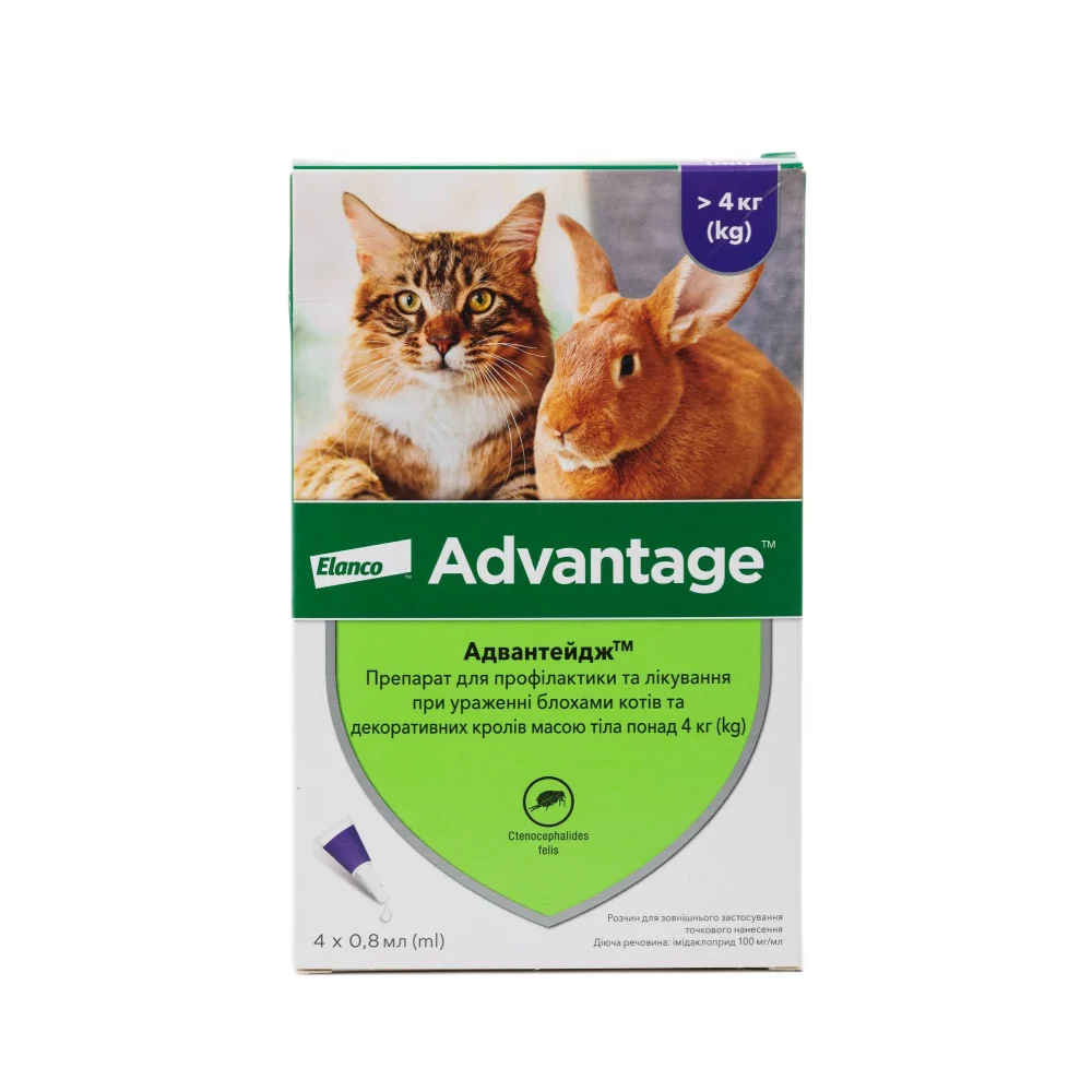 Elanco Bayer Advantage капли на холку для кошек от 4 до 8 кг, 4 шт Elanco Bayer Advantage капли на холку для кошек от 4 до 8 кг, 4 шт