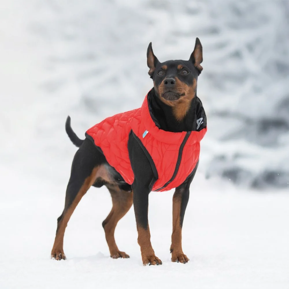 Collar AiryVest UNI куртка для собак XS-28