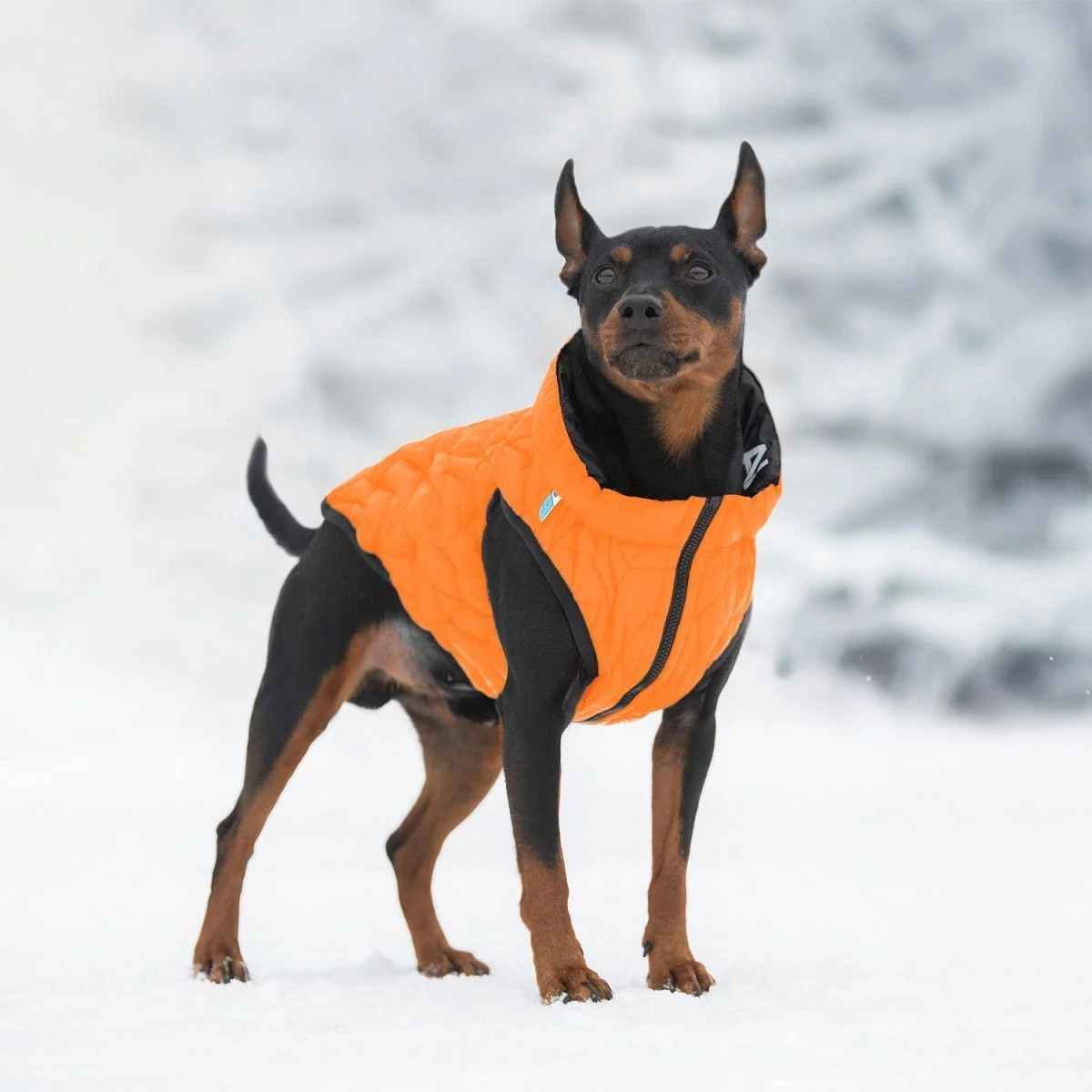 Collar AiryVest UNI куртка для собак XS-28