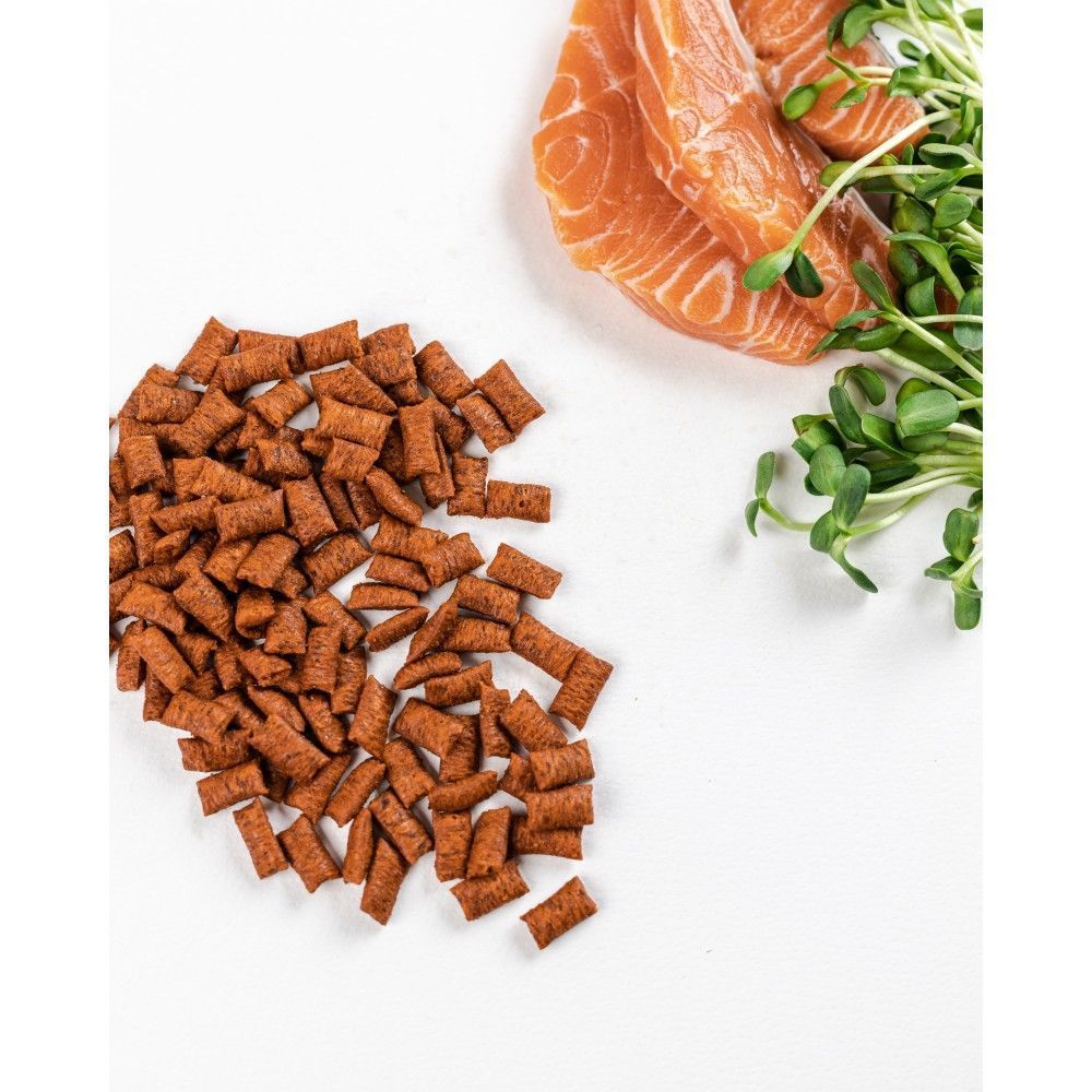 Ласощі для котів Savory 60 г - лосось Ласощі для котів Savory 60 г - лосось